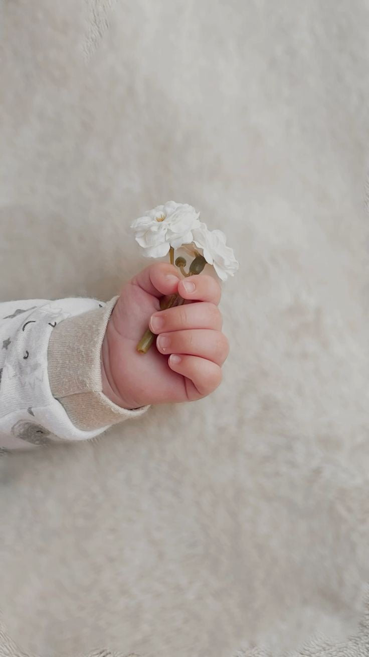 Broma Newborn Reception Hospitality | ضيافة بروما لاستقبال المولود الجديد